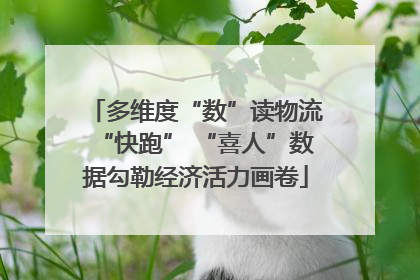 多维度“数”读物流“快跑” “喜人”数据勾勒经济活力画卷