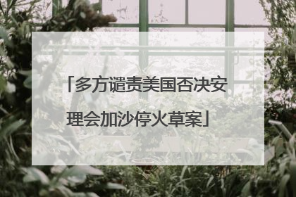 多方谴责美国否决安理会加沙停火草案