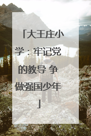 大王庄小学：牢记党的教导 争做强国少年