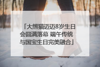 大熊猫迈迈8岁生日会圆满落幕 端午传统与国宝生日完美融合