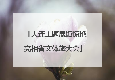 大连主题展馆惊艳亮相省文体旅大会