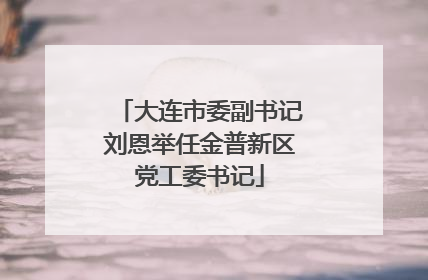 大连市委副书记刘恩举任金普新区党工委书记