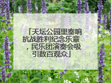 天坛公园里奏响抗战胜利纪念乐章，民乐团演奏会吸引数百观众