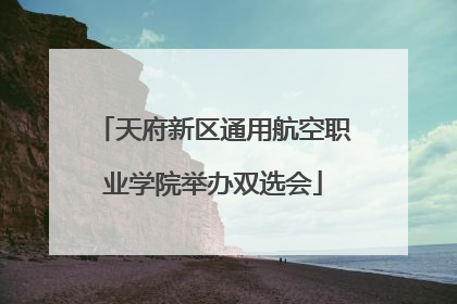 天府新区通用航空职业学院举办双选会