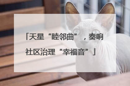 天星“睦邻曲”，奏响社区治理“幸福音”