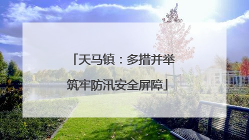 天马镇：多措并举筑牢防汛安全屏障