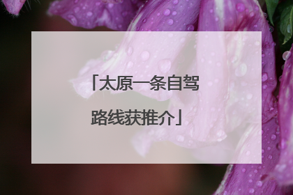 太原一条自驾路线获推介