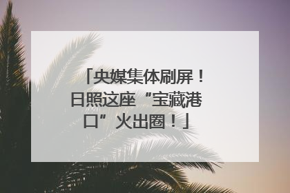 央媒集体刷屏！日照这座“宝藏港口”火出圈！