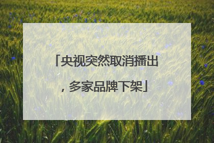 央视突然取消播出，多家品牌下架