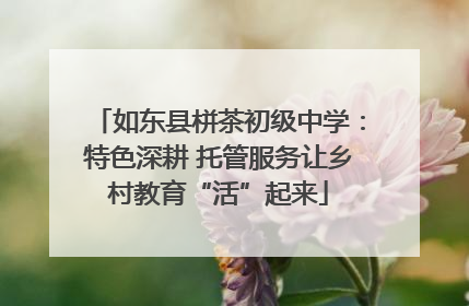 如东县栟茶初级中学：特色深耕 托管服务让乡村教育“活”起来