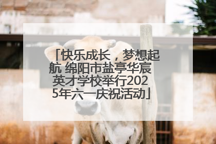 快乐成长，梦想起航 绵阳市盐亭华宸英才学校举行2025年六一庆祝活动