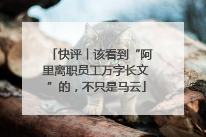 快评丨该看到“阿里离职员工万字长文”的，不只是马云