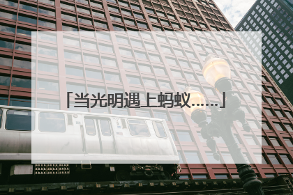 当光明遇上蚂蚁……