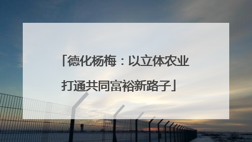 德化杨梅：以立体农业打通共同富裕新路子