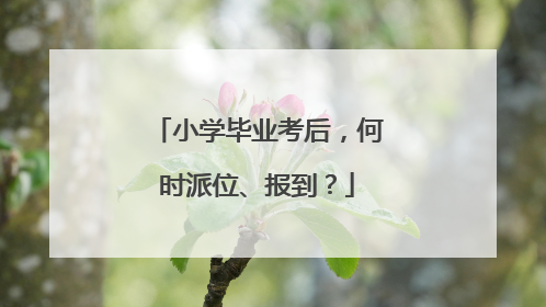 小学毕业考后，何时派位、报到？