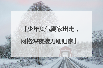 少年负气离家出走，网格深夜接力助归家