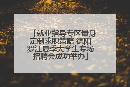 就业指导专区量身定制求职策略 德阳罗江夏季大学生专场招聘会成功举办