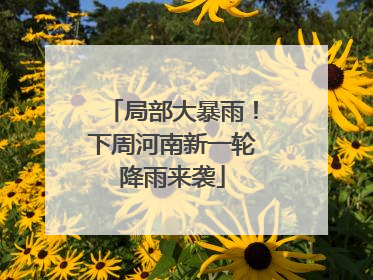 局部大暴雨！下周河南新一轮降雨来袭