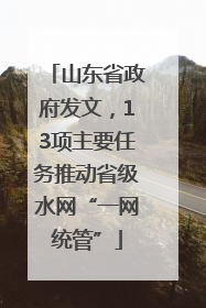 山东省政府发文，13项主要任务推动省级水网“一网统管”