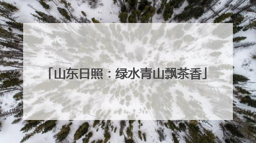山东日照：绿水青山飘茶香