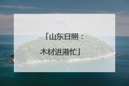 山东日照：木材进港忙