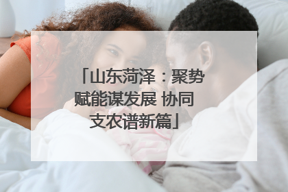 山东菏泽：聚势赋能谋发展 协同支农谱新篇