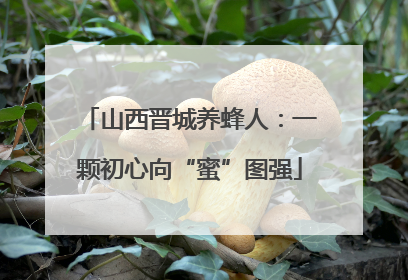 山西晋城养蜂人：一颗初心向“蜜”图强