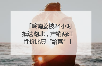 岭南荔枝24小时抵达湖北，产销两旺性价比真“给荔”