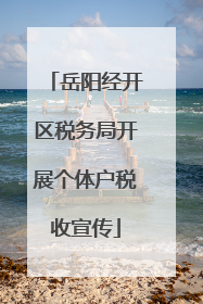 岳阳经开区税务局开展个体户税收宣传