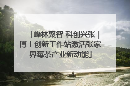 峰林聚智 科创兴张｜博士创新工作站激活张家界莓茶产业新动能