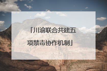 川渝联合共建五项禁毒协作机制