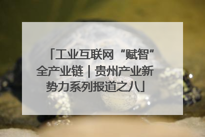 工业互联网“赋智”全产业链｜贵州产业新势力系列报道之八