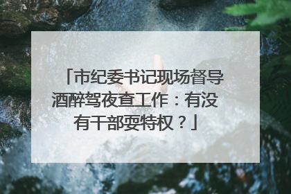 市纪委书记现场督导酒醉驾夜查工作：有没有干部耍特权？