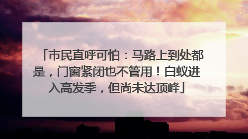 市民直呼可怕：马路上到处都是，门窗紧闭也不管用！白蚁进入高发季，但尚未达顶峰