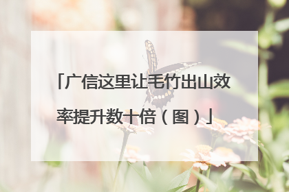 广信这里让毛竹出山效率提升数十倍（图）