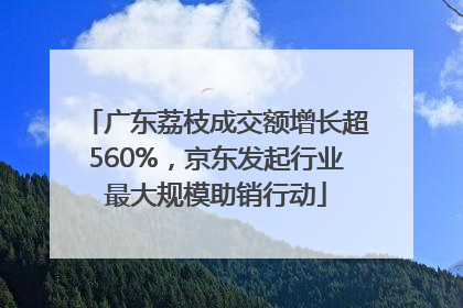广东荔枝成交额增长超560%，京东发起行业最大规模助销行动