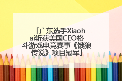 广东选手Xiaohai斩获美国CEO格斗游戏电竞赛事《饿狼传说》项目冠军