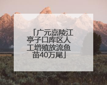 广元嘉陵江亭子口库区人工增殖放流鱼苗40万尾