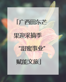 广西田东芒果迎采摘季 “甜蜜事业”赋能文旅