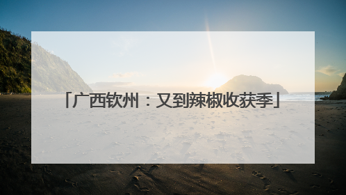 广西钦州：又到辣椒收获季