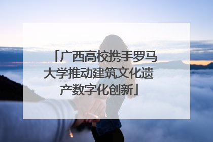广西高校携手罗马大学推动建筑文化遗产数字化创新