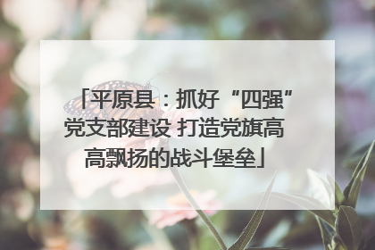 平原县：抓好“四强”党支部建设 打造党旗高高飘扬的战斗堡垒