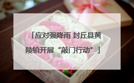 应对强降雨 封丘县黄陵镇开展“敲门行动”