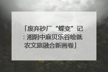 废弃砂厂“蝶变”记：湘阴中麻贝乐谷绘就农文旅融合新画卷