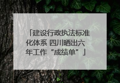 建设行政执法标准化体系 四川晒出六年工作“成绩单”