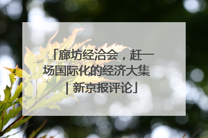 廊坊经洽会，赶一场国际化的经济大集｜新京报评论
