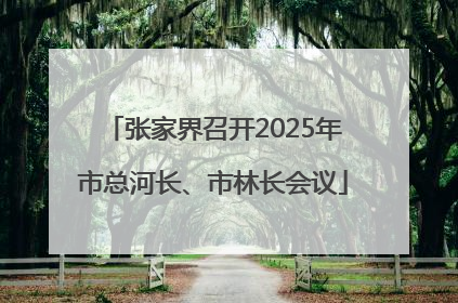 张家界召开2025年市总河长、市林长会议
