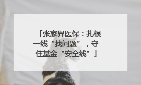 张家界医保：扎根一线“找问题”，守住基金“安全线”