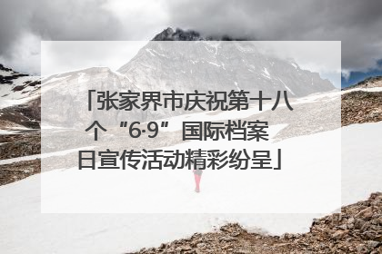 张家界市庆祝第十八个“6·9”国际档案日宣传活动精彩纷呈