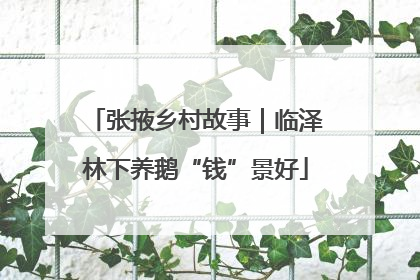 张掖乡村故事｜临泽林下养鹅“钱”景好